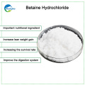 China Proveedores Alibaba Best Sellers Betaine Hcl